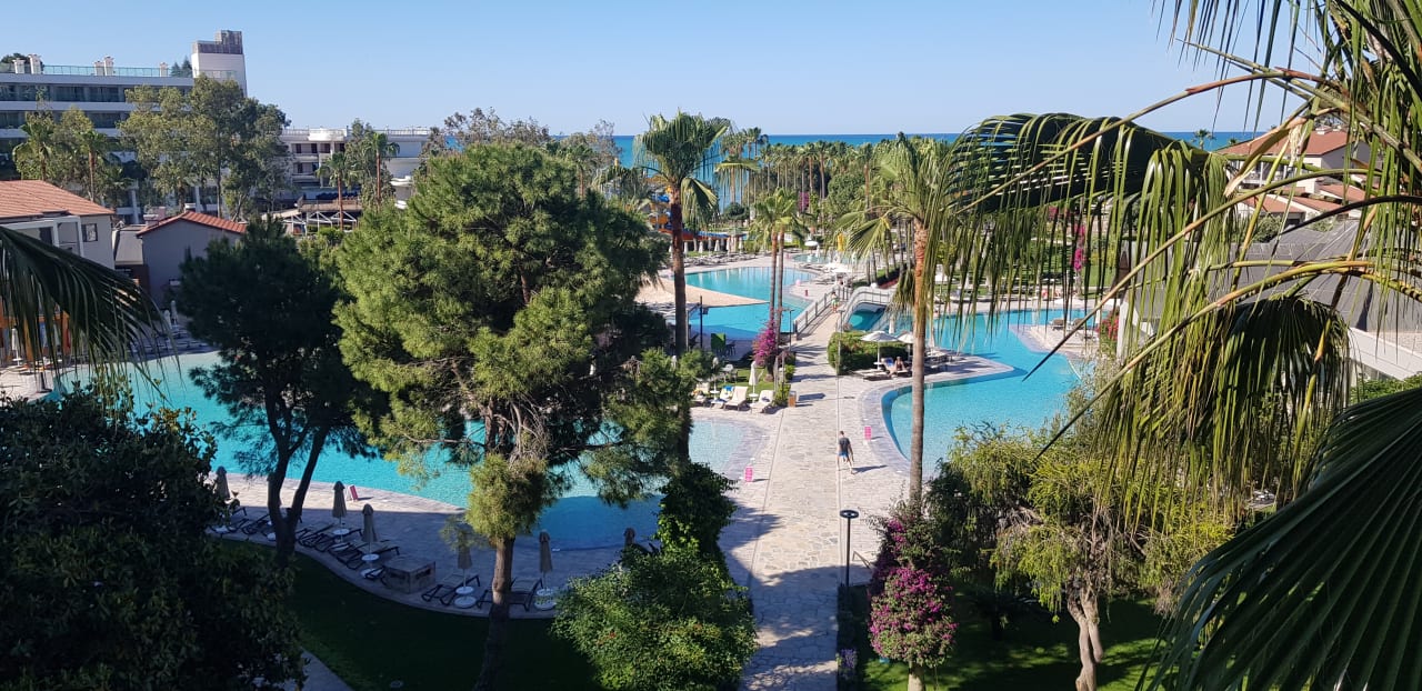 Ausblick Arum Barut Collection
