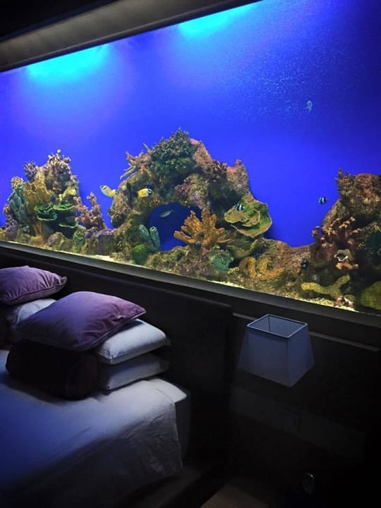 Aquarium Hotel H2O