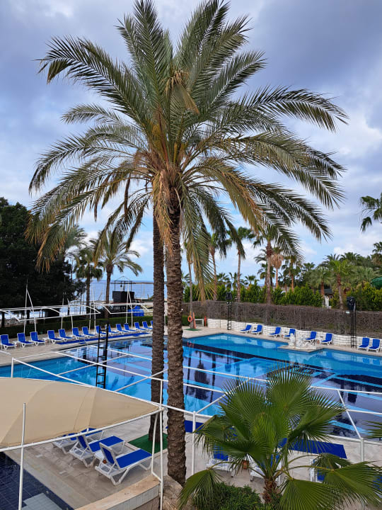 Pool Sealife Buket Resort & Beach