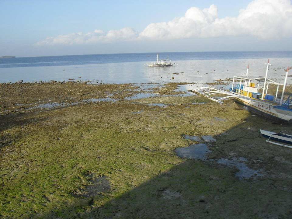 Riff mit Booten am Love's Resort Love's Lodge & Resort