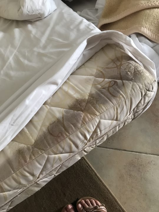 Zimmer Cleopatra Luxury Resort Makadi Bay