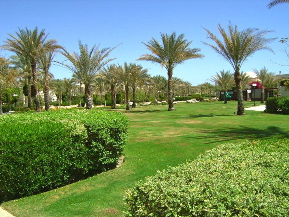 Gepflegter Garten Hotel Sea Club Stella Di Mare