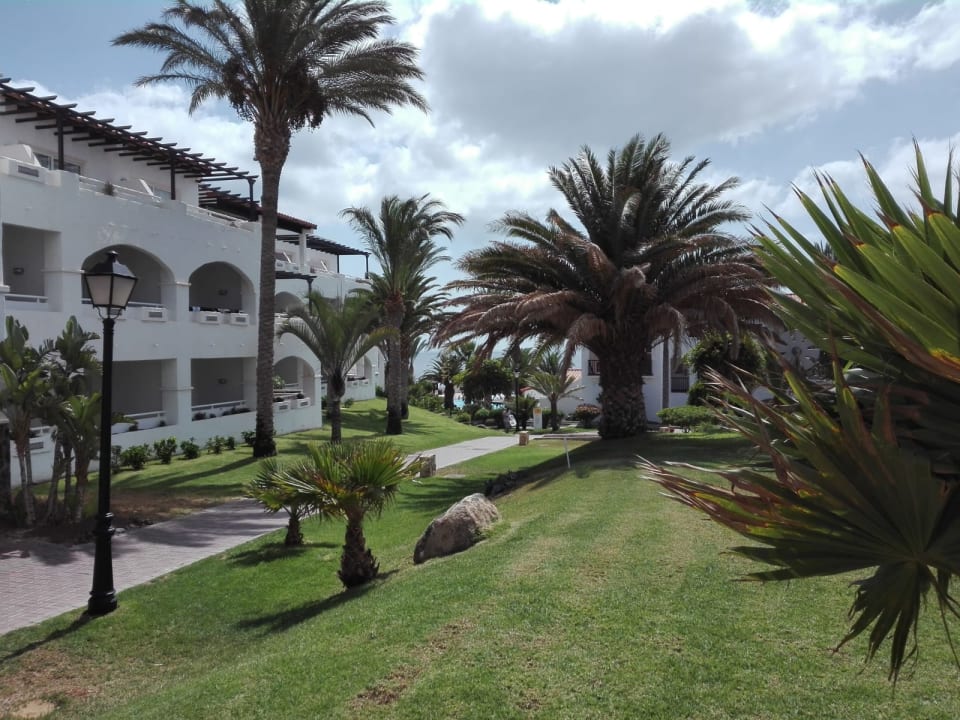 Gartenanlage TUI MAGIC LIFE Fuerteventura
