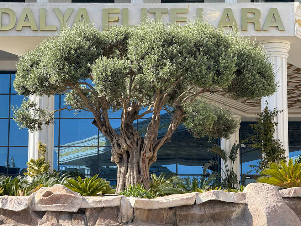 Außenansicht Adalya Elite Lara