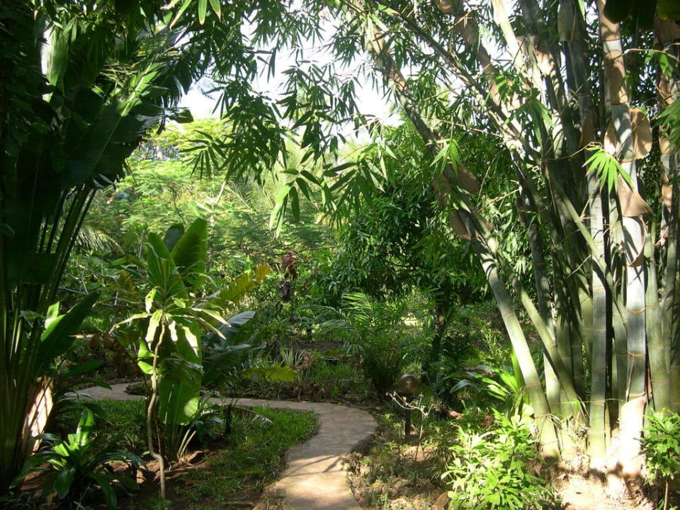 verschlungene Wege durch dichtes Grün Boko Boko Porini Farm- and Guesthouse