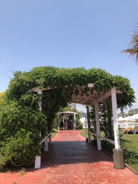 Gartenanlage Hotel Miracle Resort