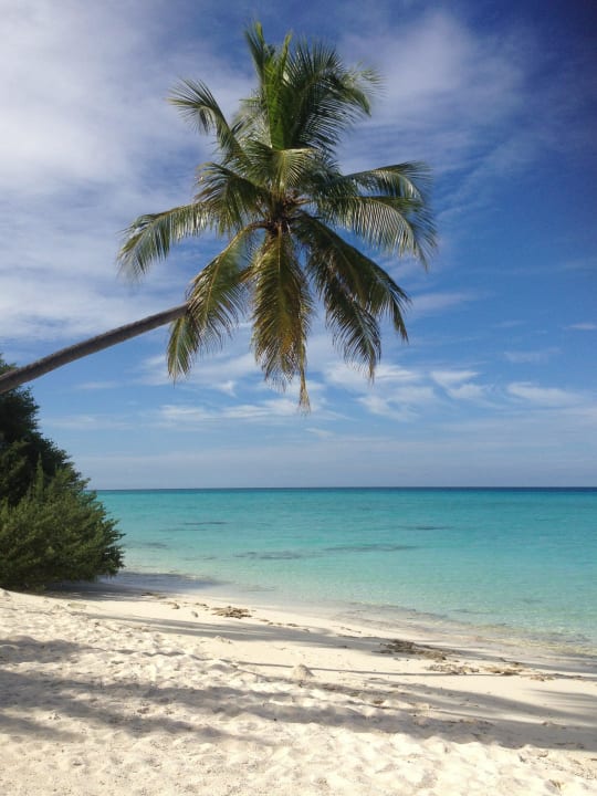 Traumhaft Kuramathi Maldives