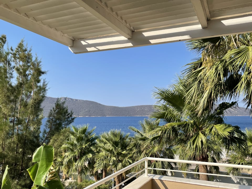 Zimmer TUI MAGIC LIFE Bodrum - Adult Only (16+)