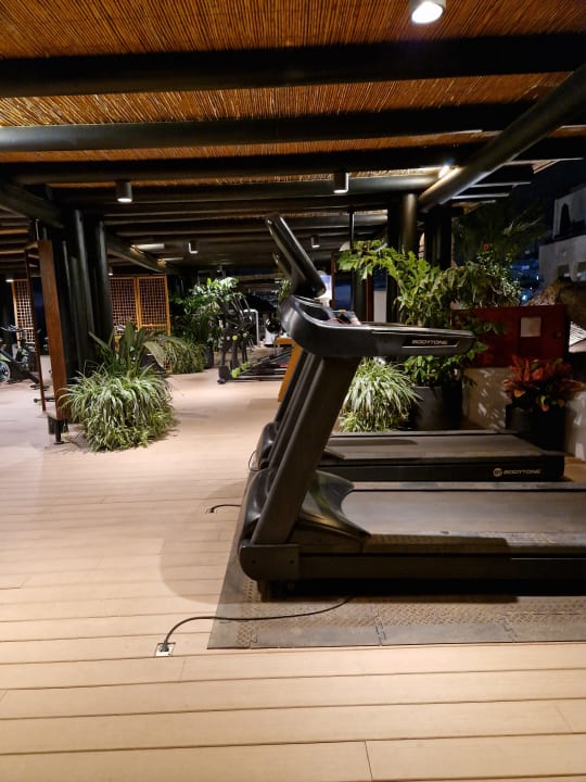 Sport & Freizeit Dreams Jardín Tropical