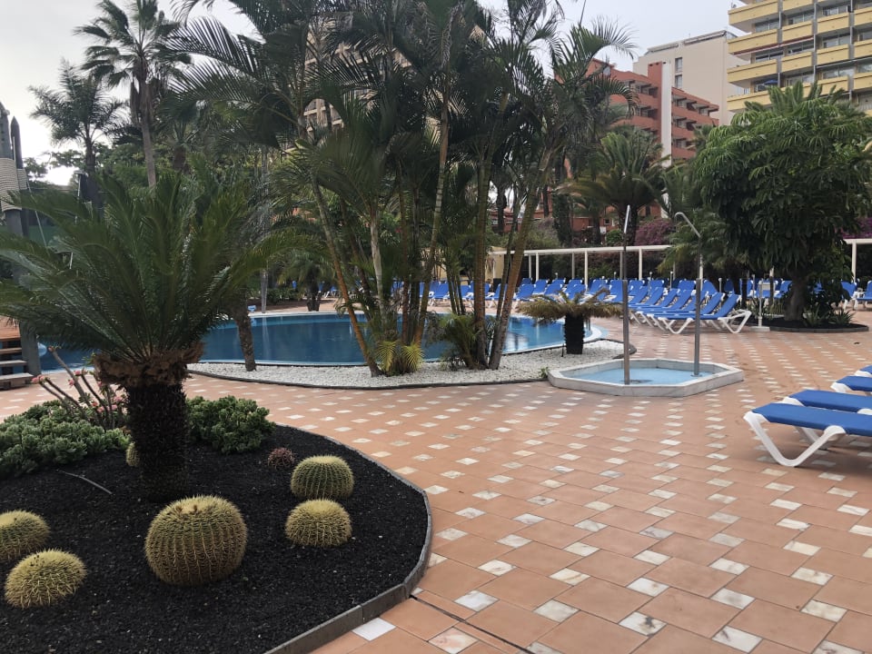 Pool Bahia Principe Sunlight San Felipe Puerto De La Cruz