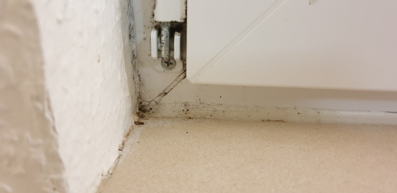 Zimmer Center Parcs Park Bostalsee