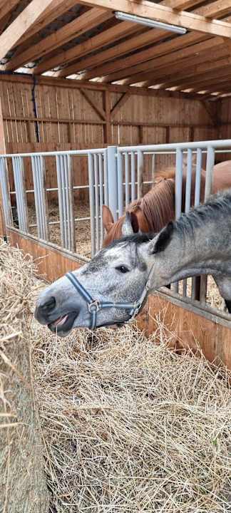 Sonstiges Pałac i Folwark Galiny