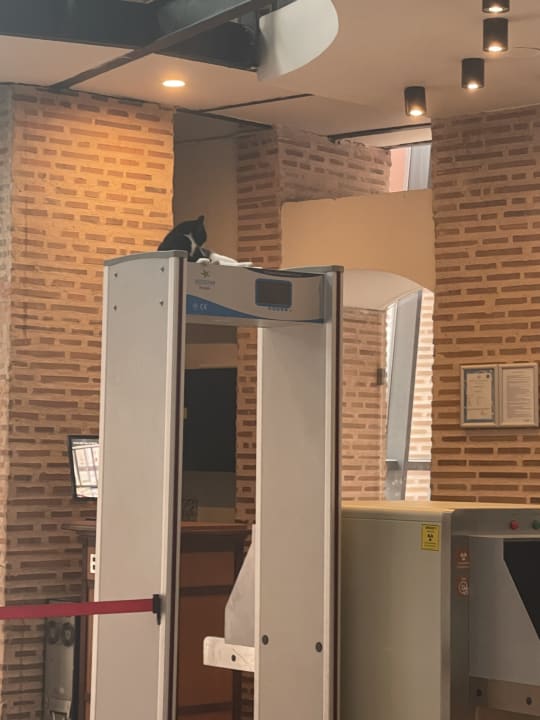 Lobby Limak Limra Hotel & Resort