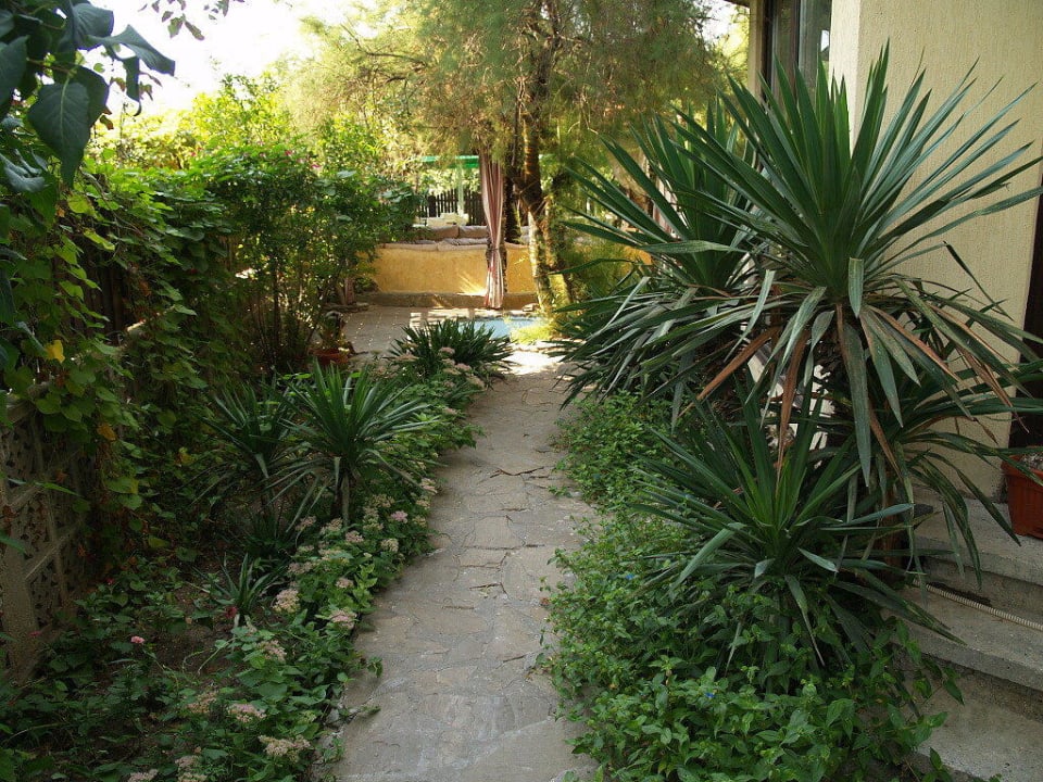 Zahrádka hotelu Coral - cesta do baru Coral Hotel
