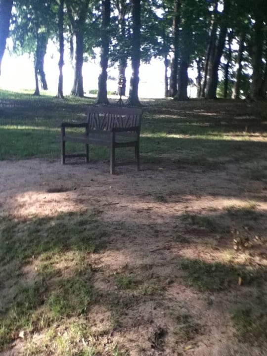 Bank am Teich Hotel garni Landhausperle an der Müritz