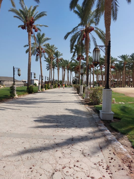 Außenansicht Makadi Spa - Adults only