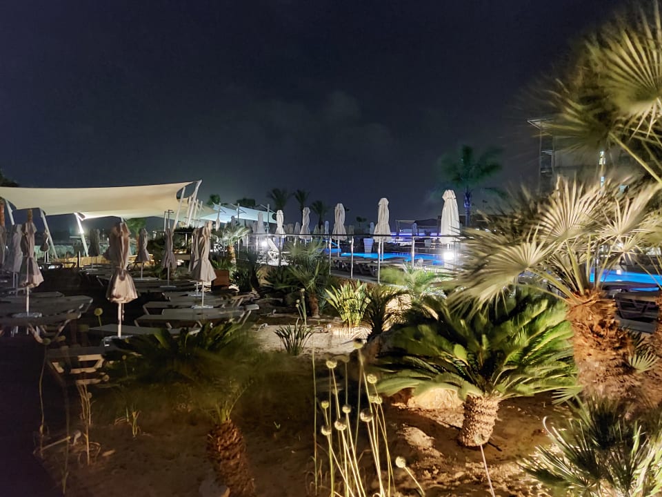 Gartenanlage Asterias Beach