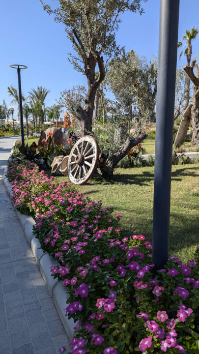 Gartenanlage Dream Fun World