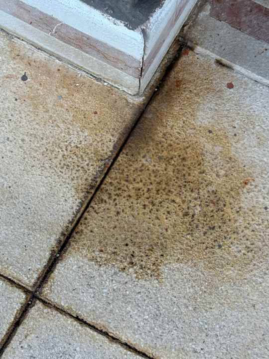 Pool Aldiana Club Rocca Nettuno Calabria