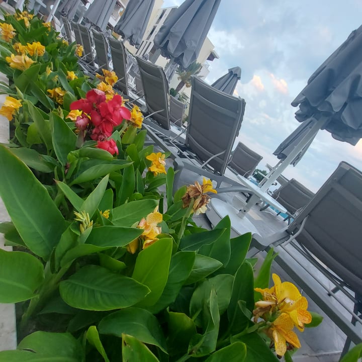 Pool Akra Sorgun Tui Blue Sensatori