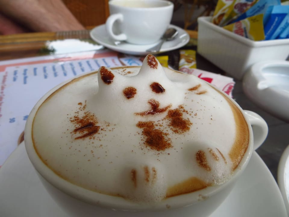 Katzenkaffee mal anders KC Grande Resort Koh Chang