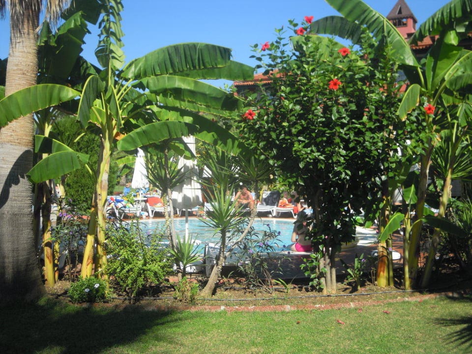 Babypool Saphir Hotel & Villas