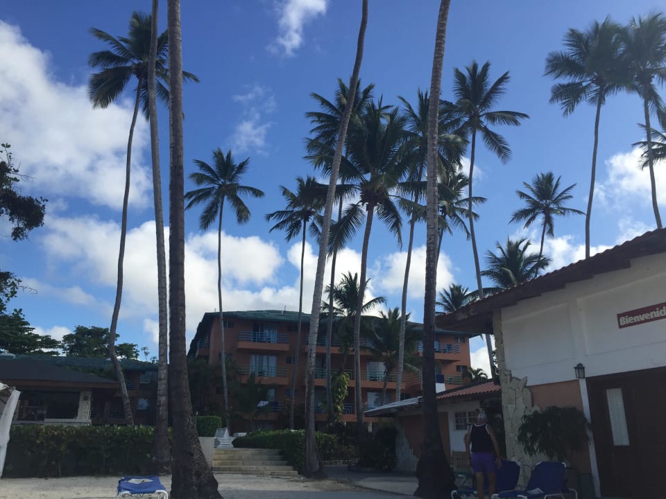 Blick zum Hotel whala!boca chica
