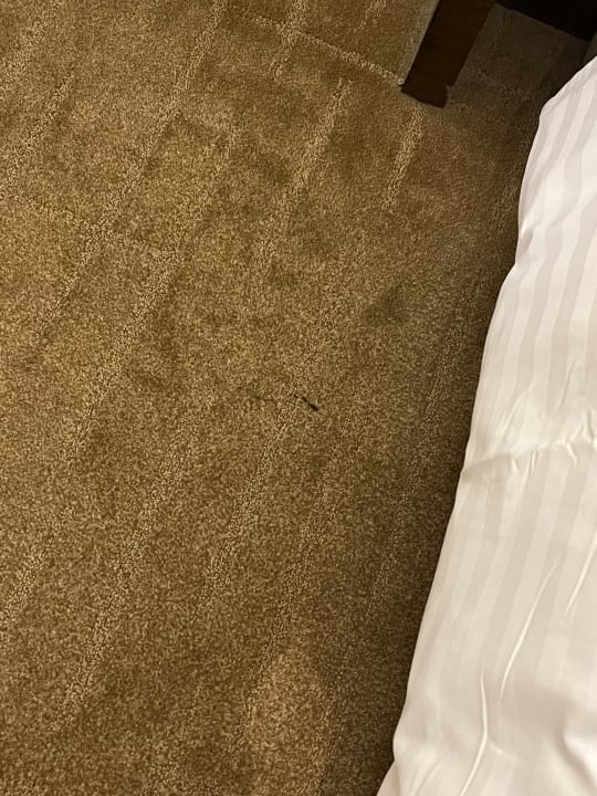 Zimmer JC Kevin Sathorn Bangkok Hotel