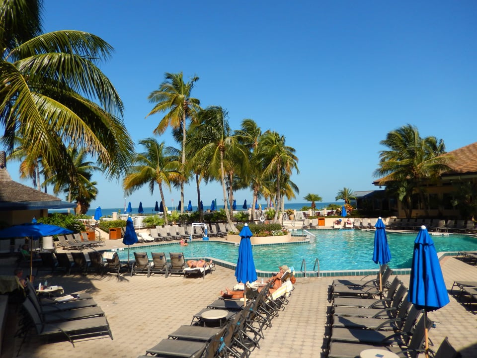 Pool Hotel Hilton Marco Island