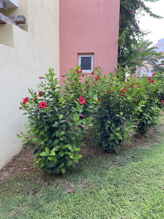 Gartenanlage Anissa Beach & Village