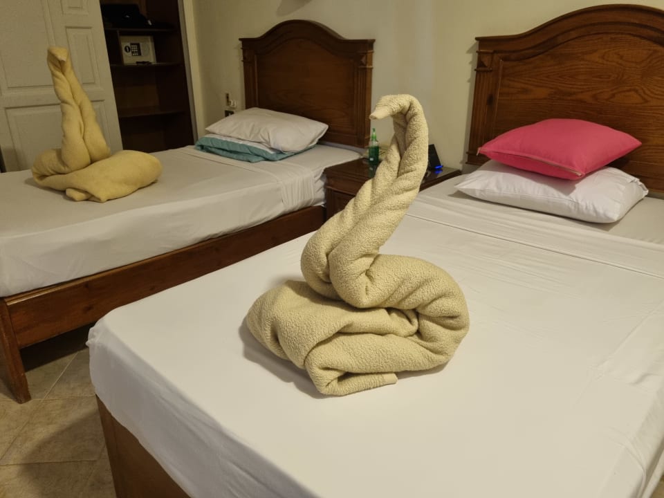 Zimmer Shams Safaga Resort