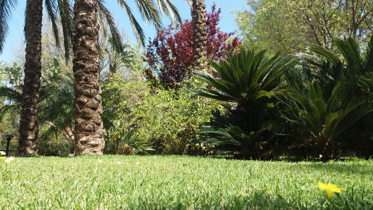 Gartenanlage B&B Villa Flora Mondello