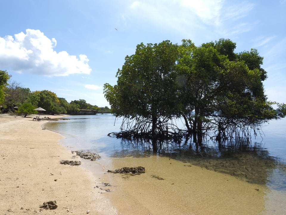 Strand The Menjangan