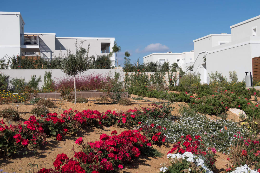 Schöne Bepflanzung Anemos Luxury Grand Resort