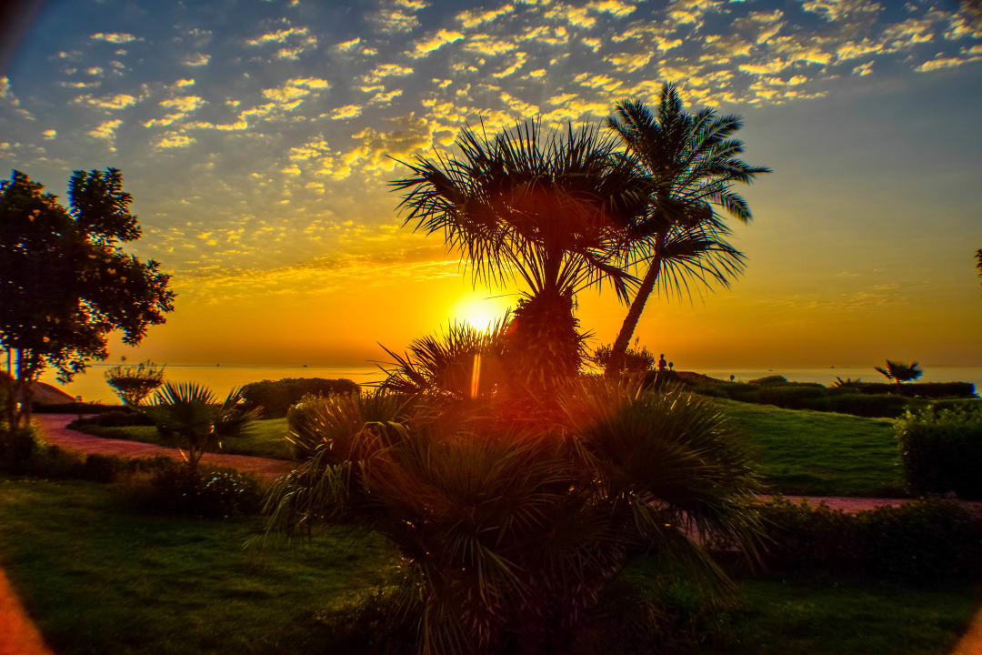 Gartenanlage Three Corners Equinox Beach Resort