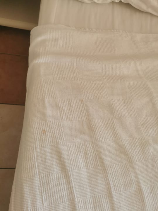 Zimmer Grand Alisa Hotel