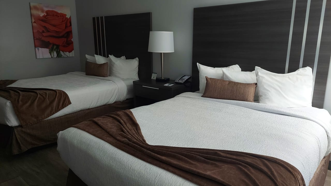 Zimmer Palm Garden Hotel