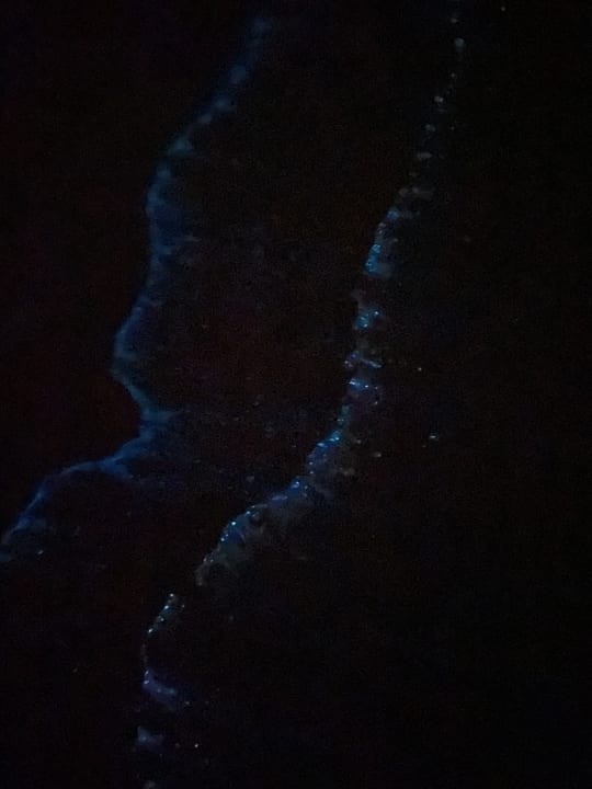 Sonstiges NH Collection Maldives Reethi Resort