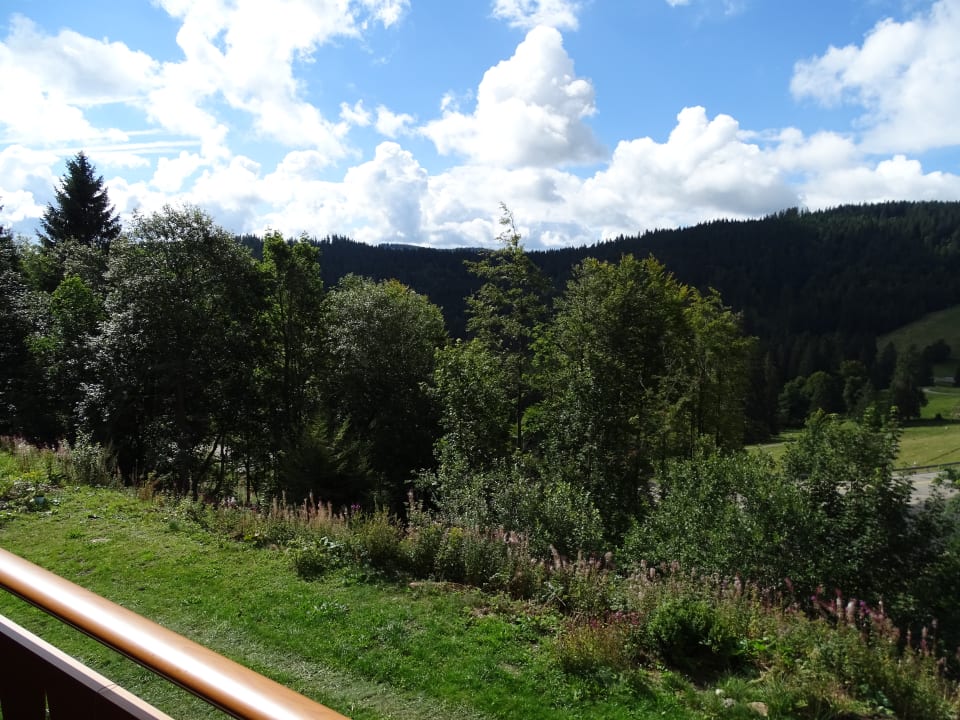 Ausblick 's Jägermatt