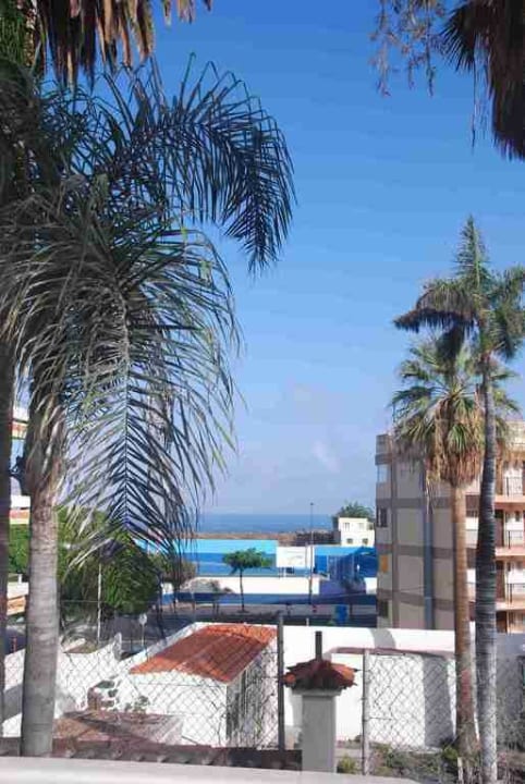 Blick zum Meer Hotel RF San Borondon