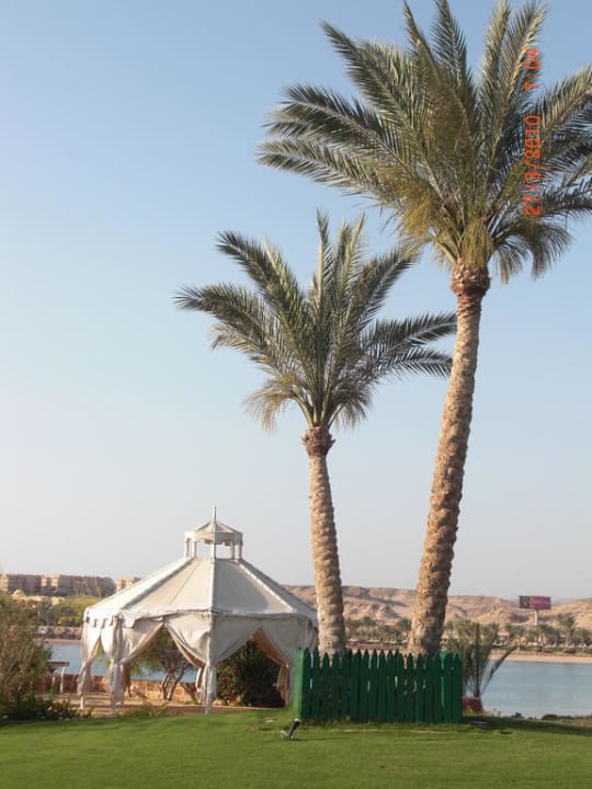 Gartenidylle Steigenberger Coraya Beach - Adults only