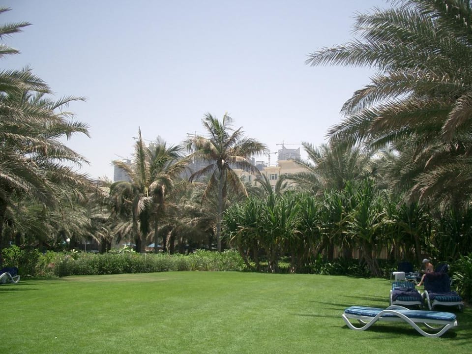 Liegewiese Coral Beach Resort Sharjah