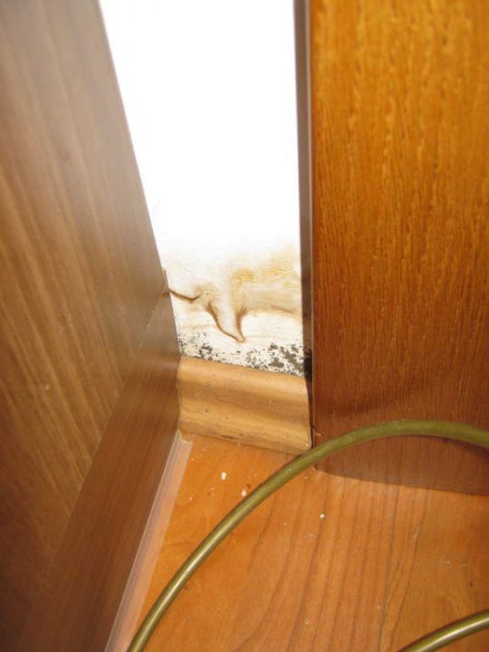 Schimmel Apartments Habich