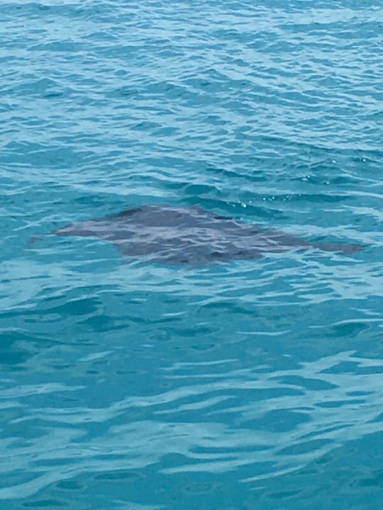 Strand Kuramathi Maldives