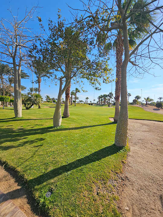 Gartenanlage Steigenberger ALDAU Beach Hotel