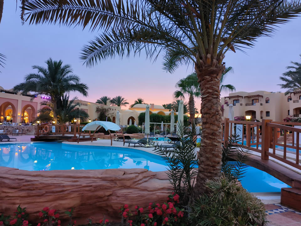 Pool Steigenberger Coraya Beach - Adults only