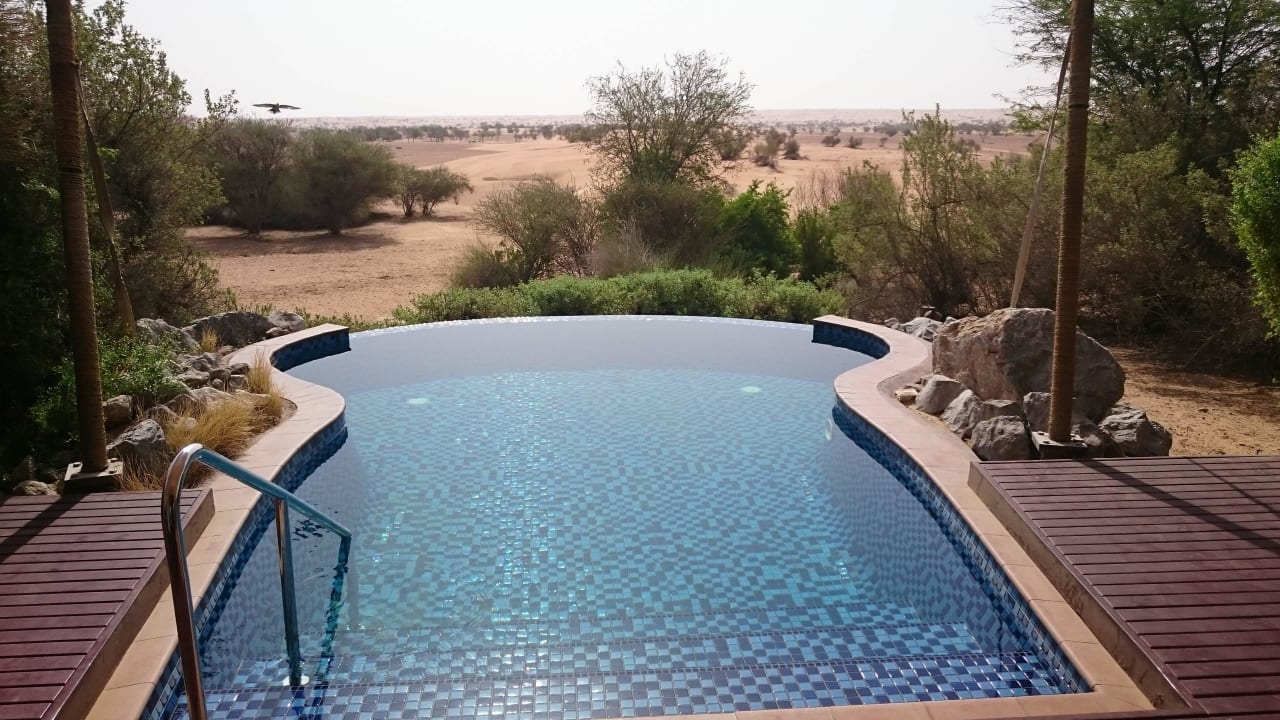 Pool  Al Maha, A Luxury Collection Desert Resort & Spa