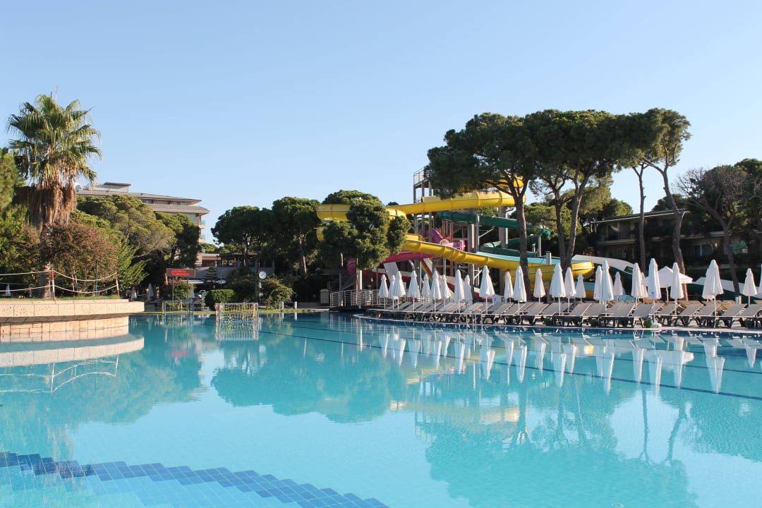 Hauptpool Papillon Ayscha