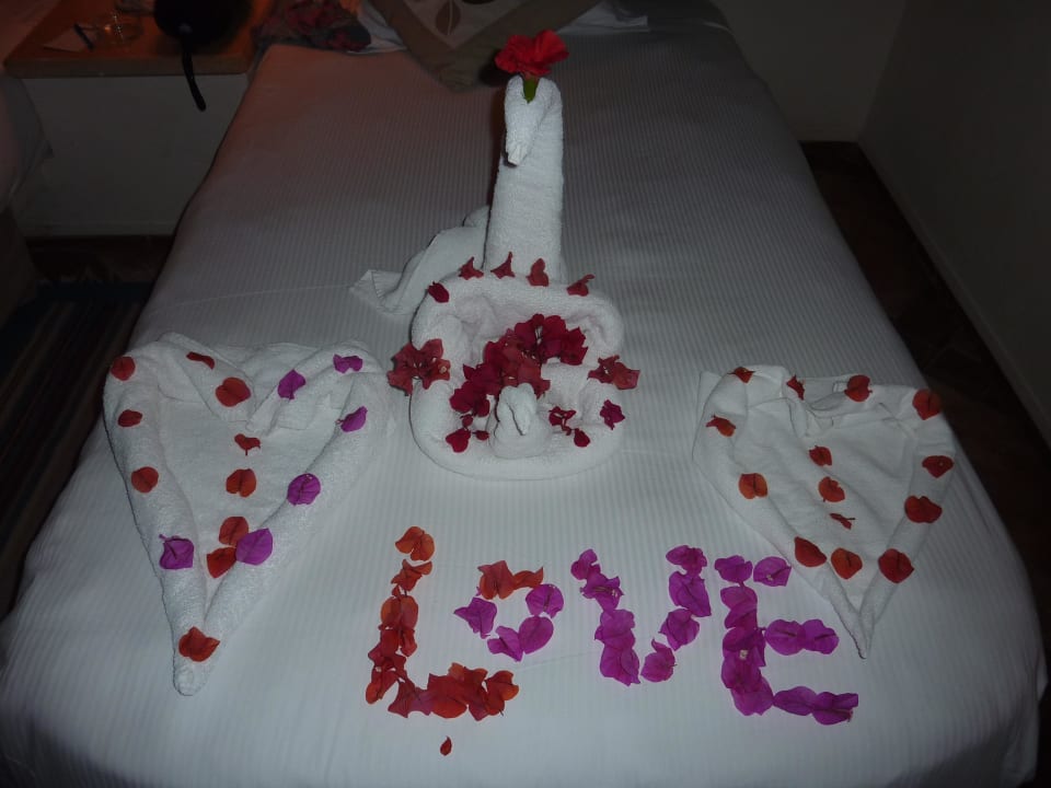 Tolle Deko Pickalbatros Citadel Resort