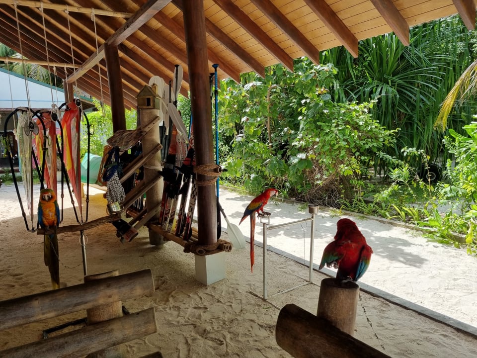 Gartenanlage Malahini Kuda Bandos Resort